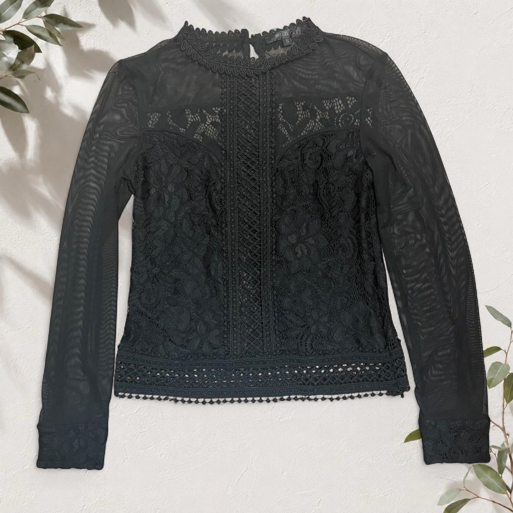 Wild Cat Black Lace Mesh Embroidered Blouse Small Y2K Gothic Whimsigoth Top